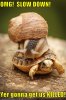 funny-pictures-snail-is-on-turtle[2].jpg