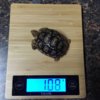 ImageUploadedByTortoise Forum1421704748.493203.jpg