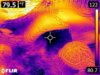 FLIR0067.jpg