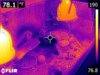 FLIR0075.jpg