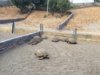 ImageUploadedByTortoise Forum1422793668.945654.jpg