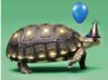 birthday turtle (2).jpg