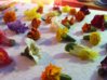 edible flowers 2.jpg