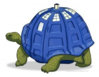 tortoise tardis.jpg