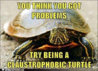 ImageUploadedByTortoise Forum1430780715.814799.jpg