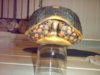 redfooted tortoise (Rafe) 05-06-15 c.jpg