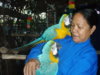 macaw.JPG