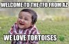 ImageUploadedByTortoise Forum1440686472.175992.jpg