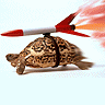 Rocket-Tortoise.gif
