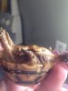 ImageUploadedByTortoise Forum1442032946.436061.jpg