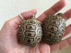 ImageUploadedByTortoise Forum1443750185.757852.jpg