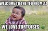 ImageUploadedByTortoise Forum1444027391.872359.jpg