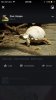 ImageUploadedByTortoise Forum1444694978.117496.jpg