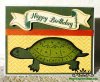 happy birthday turtle male.jpg