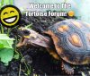 ImageUploadedByTortoise Forum1452012267.696646.jpg