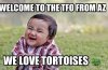 ImageUploadedByTortoise Forum1457310841.338372.jpg