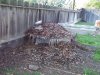 Desert Tortoise Shelter 4-5-14 b.jpg