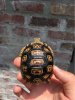 ImageUploadedByTortoise Forum1464401355.087721.jpg