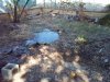 box turtle fence 10-1-16 c.jpg