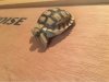 ImageUploadedByTortoise Forum1478802340.059818.jpg