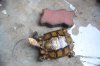 ImageUploadedByTortoise Forum1479461435.362108.jpg