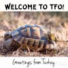 ImageUploadedByTortoise Forum1482517185.220890.jpg