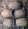 ImageUploadedByTortoise Forum1484705058.944505.jpg