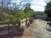 Fixing the fence 3-28-17 a.jpg