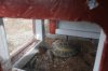 Inside of Tortoise House3.jpg