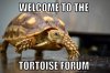 ImageUploadedByTortoise Forum1493231815.695724.jpg