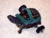 turtle wheelchair.jpg