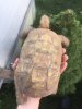 ImageUploadedByTortoise Forum1505584988.236609.jpg