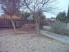 desert tortoise hibernatorium 12-01-13.jpg