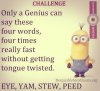 Funny-Minion-Quotes-Only-a-genius-can-say-these-four-words.jpg