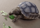 image-64548809.png image-64548809.png
