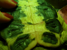 image-3298551831.png