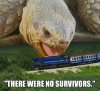 Funny-Giant-Tortoise-Try-To-Eating-Train.jpg