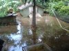 flooded yard.jpg