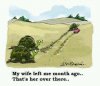 Funny-tortoise-cartoon.jpg