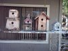 birdhouses a.jpg
