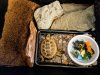 First day with new Russian Tortoise 2-22-19.jpg