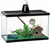 10 gallon aquarium.jpg