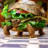 Funny-Turtle-Burger.jpg.cf.jpg