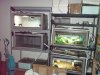 reptile room b.jpg