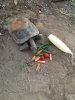 desert tortoise 3-5-17 a.JPG