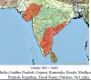 Indian Star current range.jpg