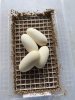 Het Albino Pied x Het Albino Pied EGGS.jpg