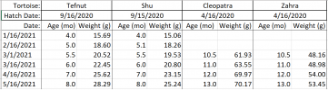 Growth Chart.png