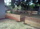 building a new yard c.jpg