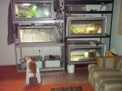 Reptile Room e.jpg